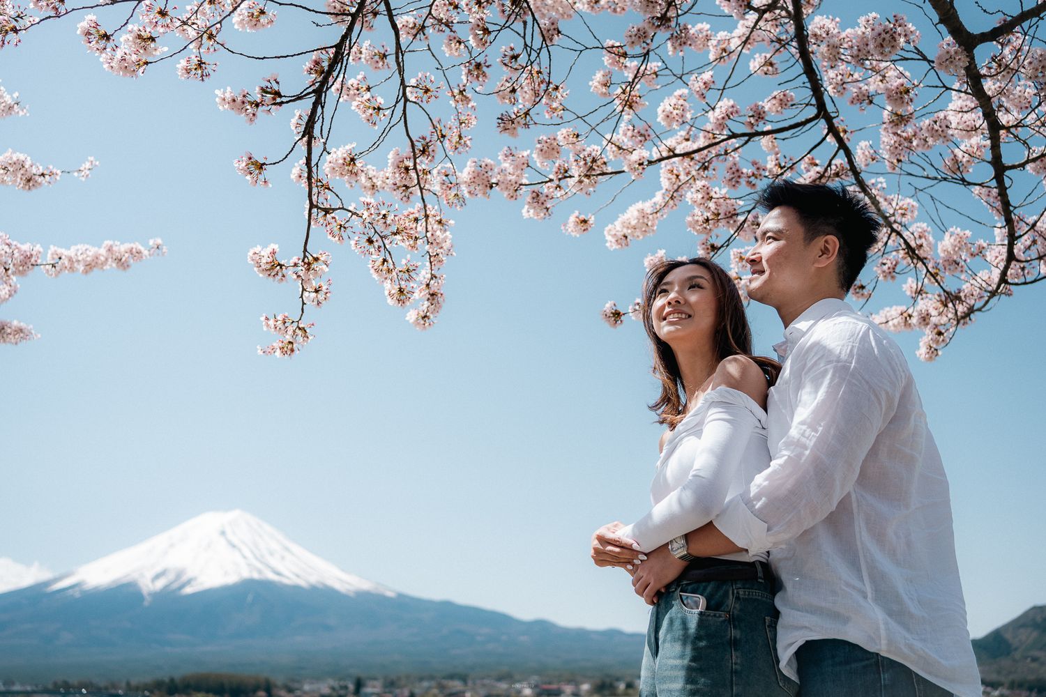 portrait,wedding photographer, surprise proposal , family portrait