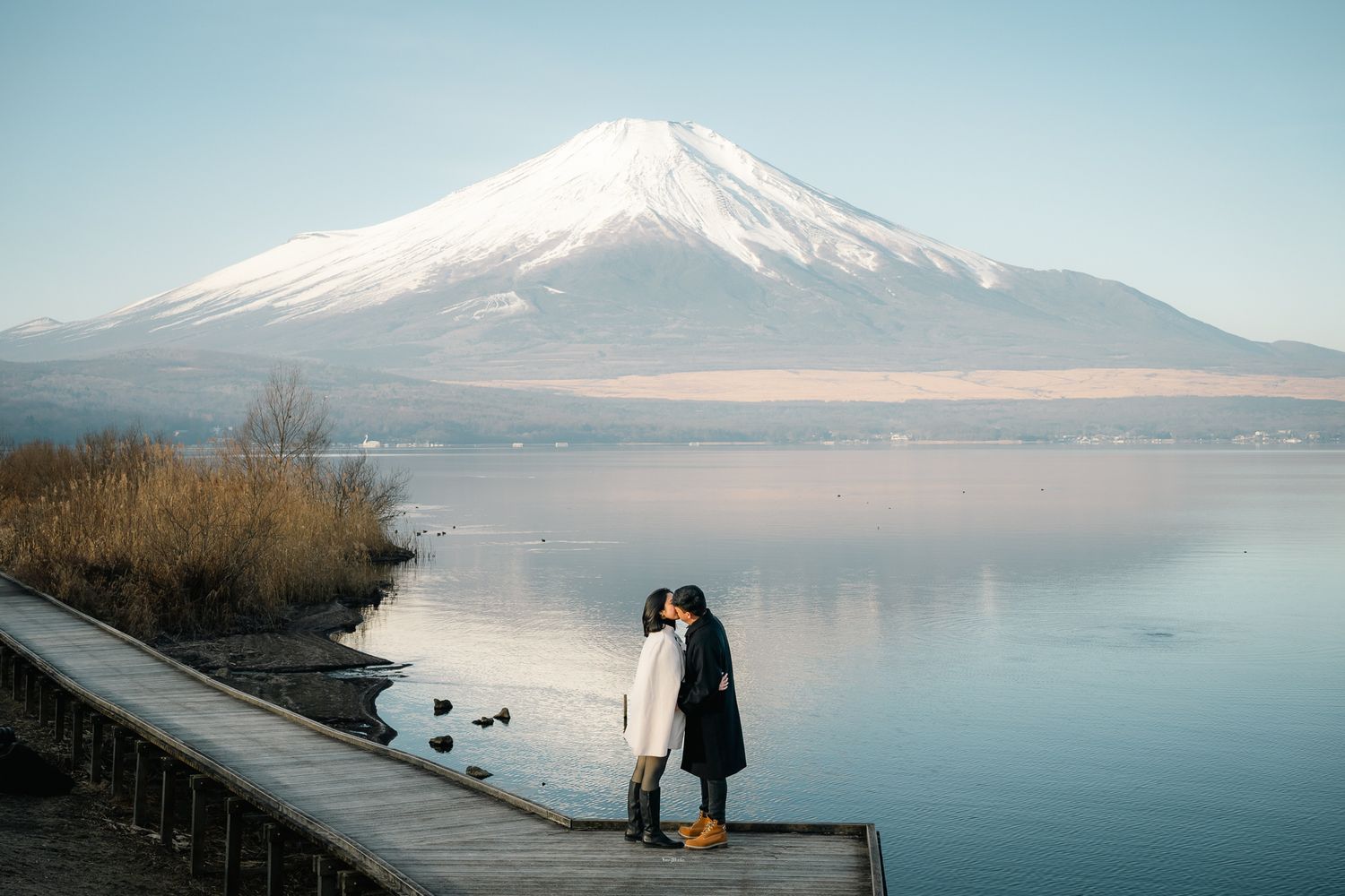 portrait,wedding photographer, surprise proposal , family portrait