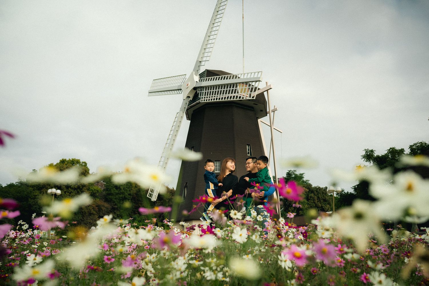 portrait,wedding photographer, surprise proposal , family portrait