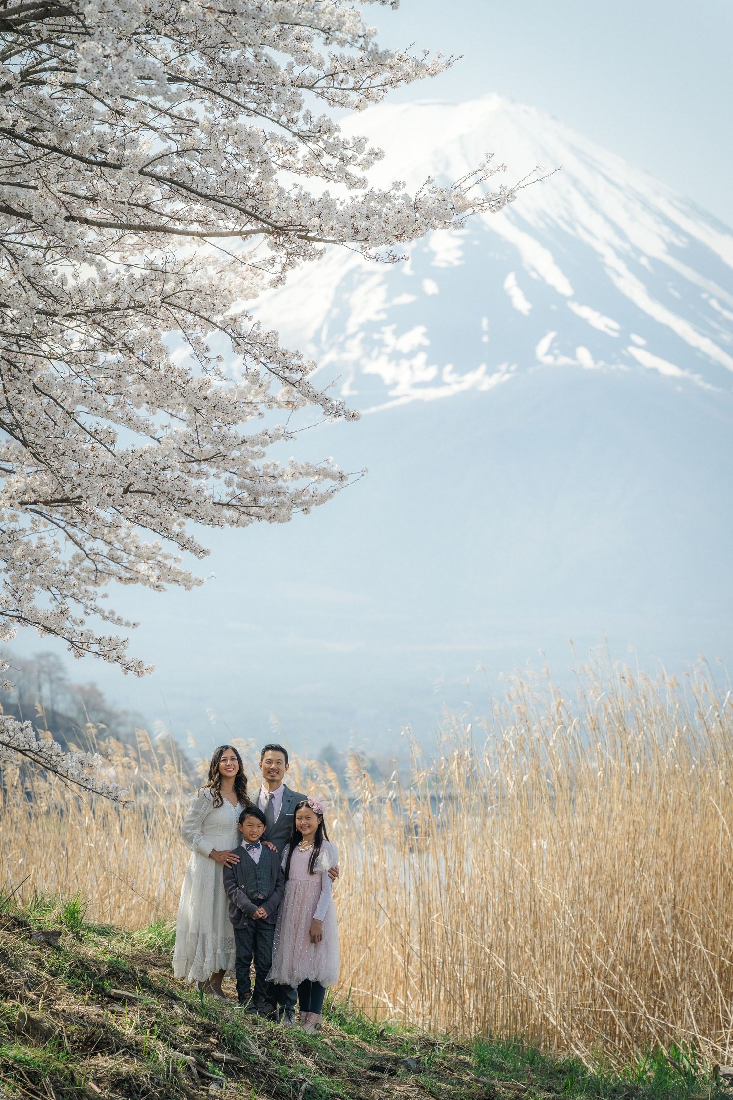 portrait,wedding photographer, surprise proposal , family portrait