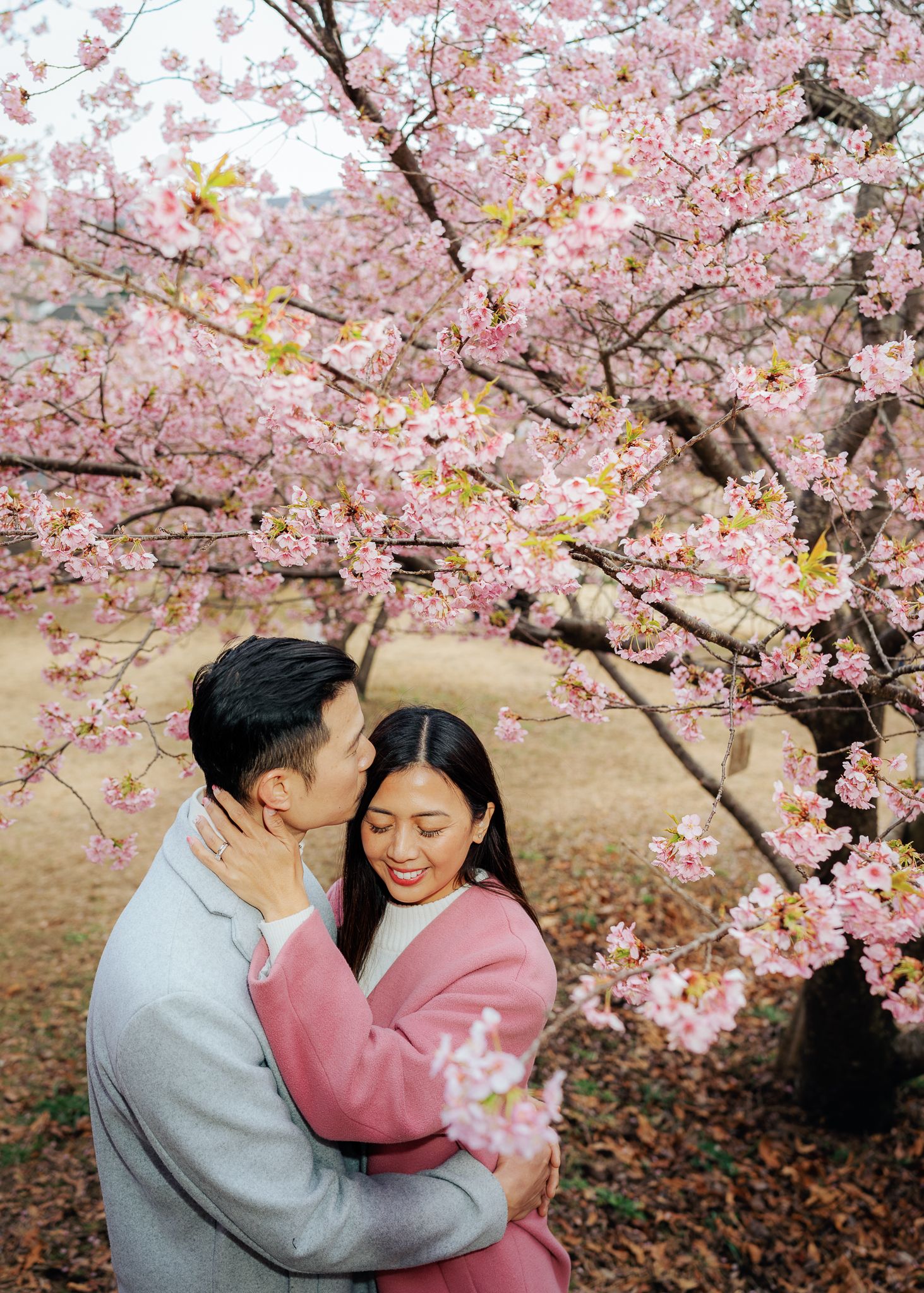 portrait,wedding photographer, surprise proposal , family portrait