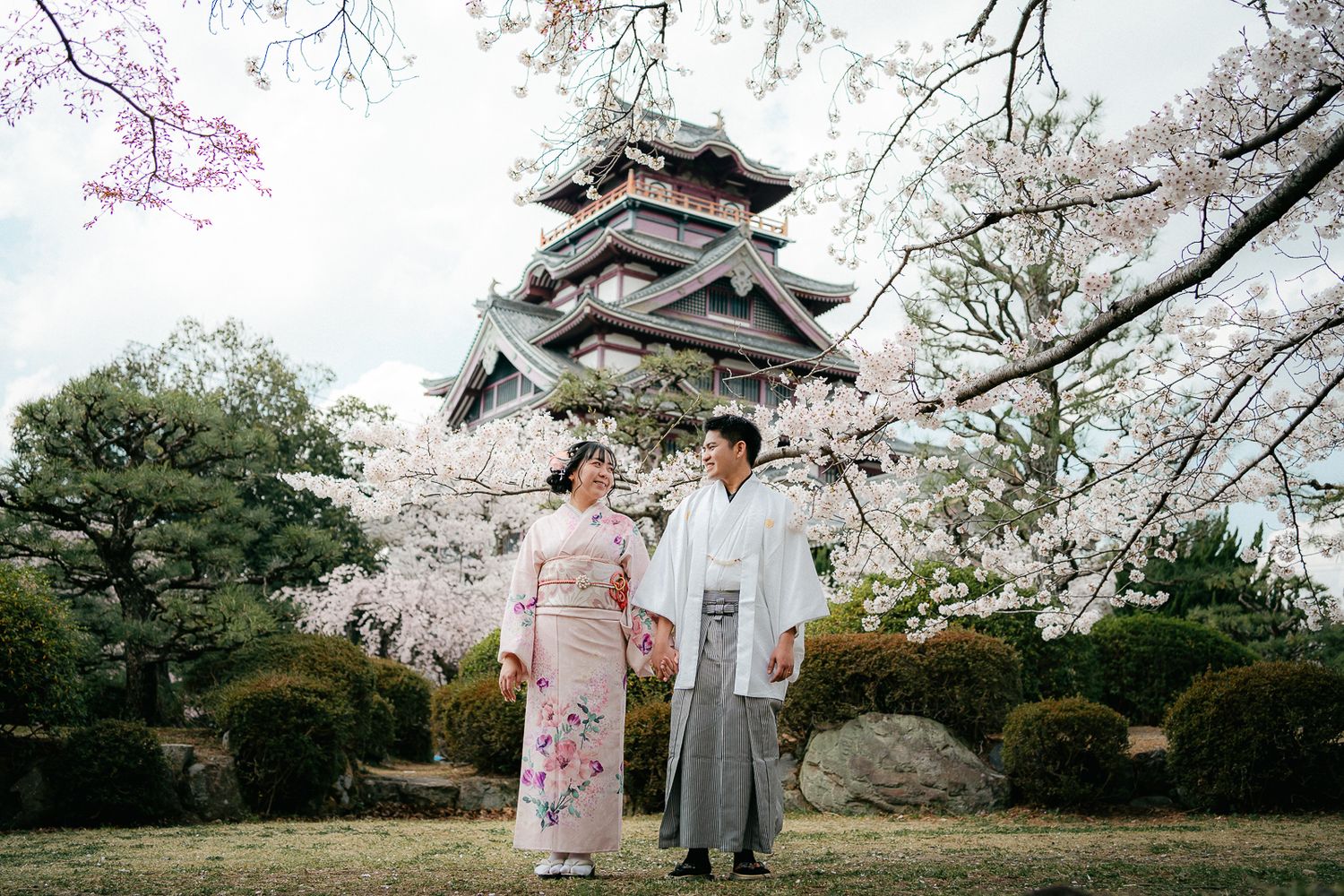 portrait,wedding photographer, surprise proposal , family portrait