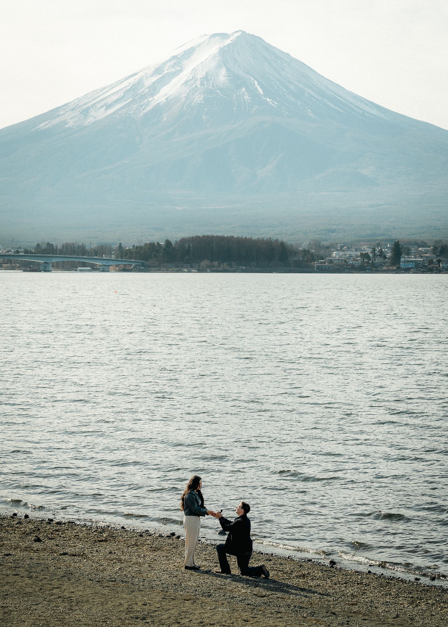 portrait,wedding photographer, surprise proposal , family portrait