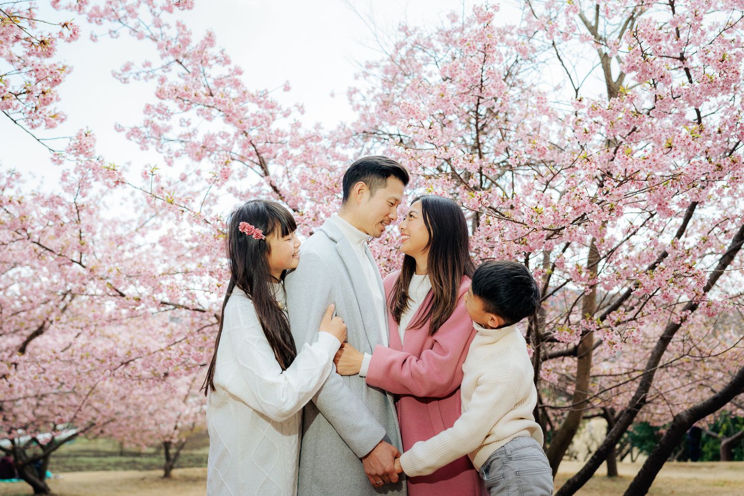 portrait,wedding photographer, surprise proposal , family portrait