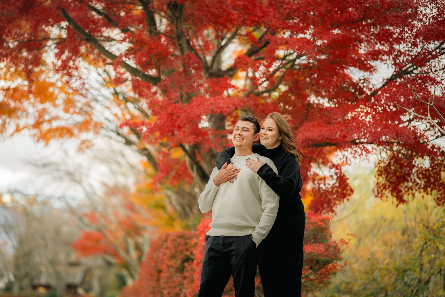 portrait,wedding photographer, surprise proposal , family portrait