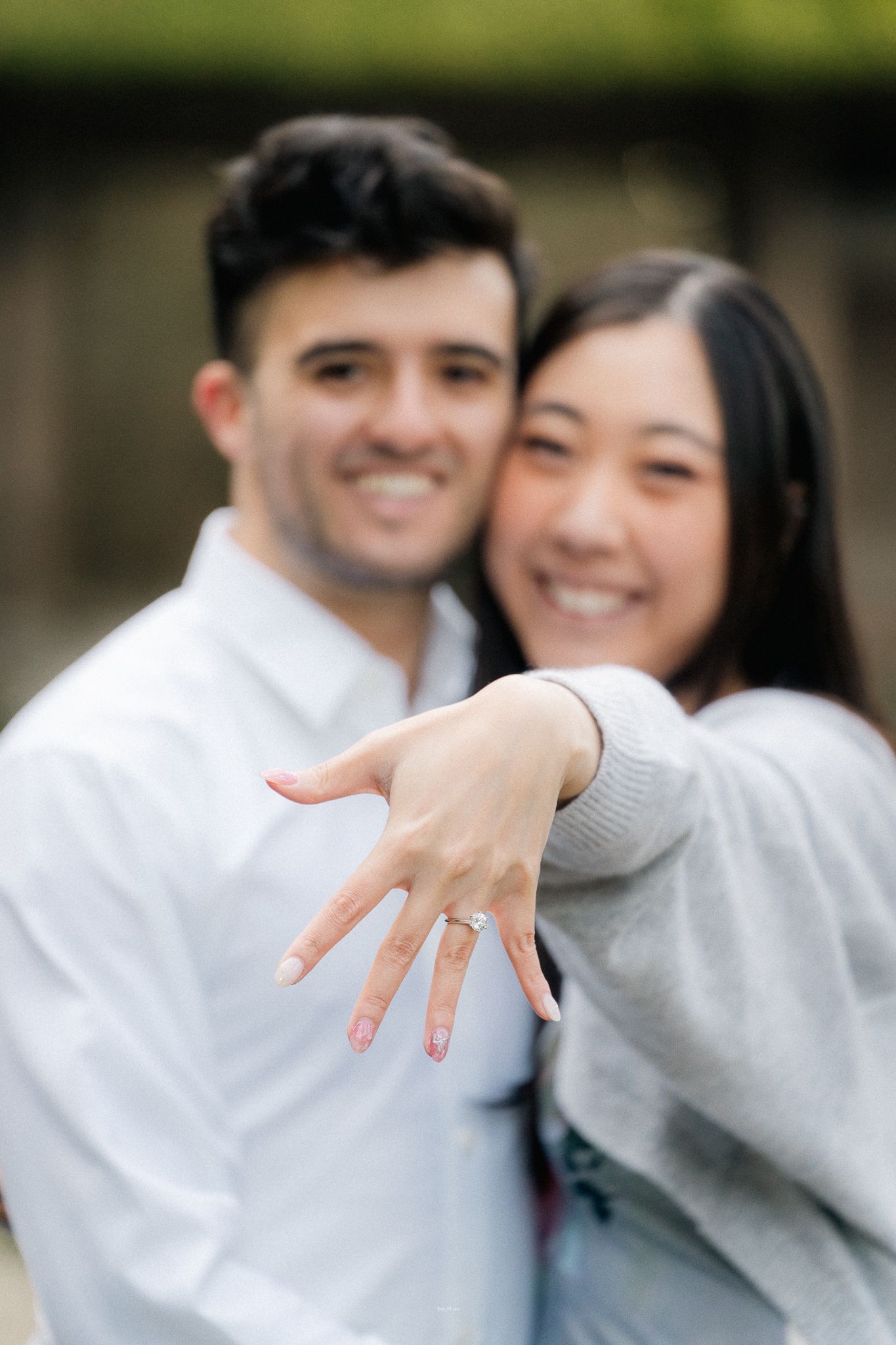 portrait,wedding photographer, surprise proposal , family portrait