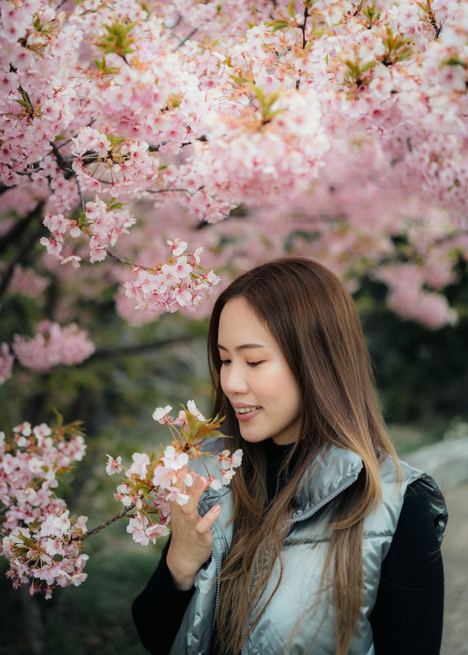 portrait,wedding photographer, surprise proposal , family portrait