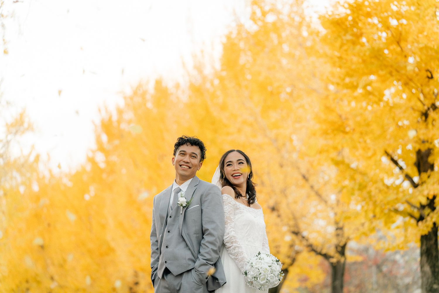 portrait,wedding photographer, surprise proposal , family portrait