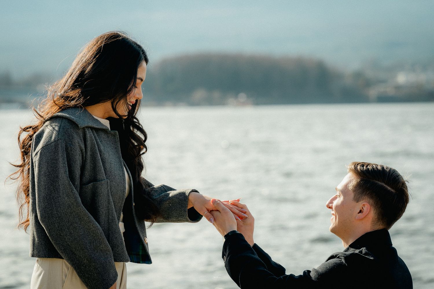 portrait,wedding photographer, surprise proposal , family portrait