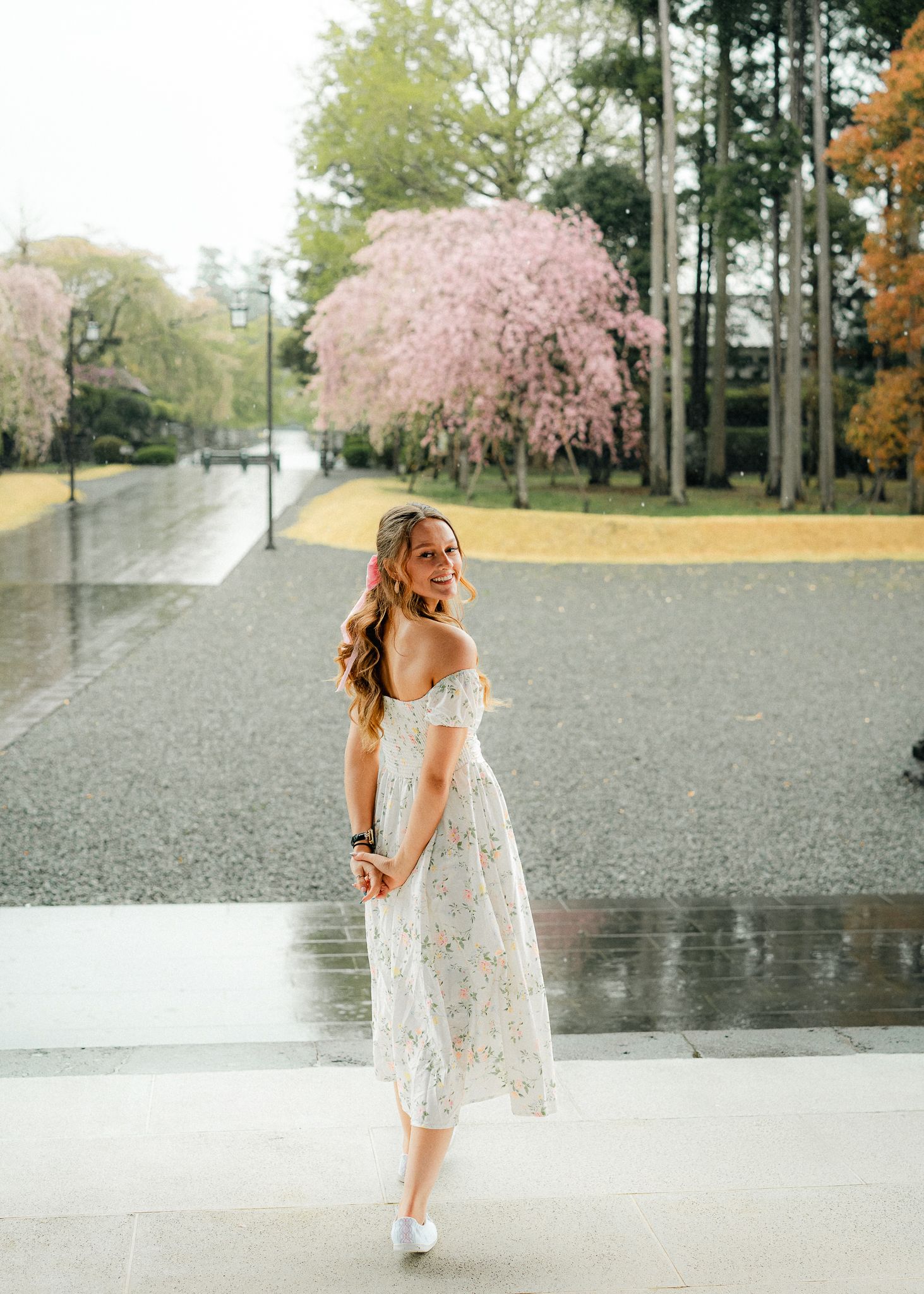 portrait,wedding photographer, surprise proposal , family portrait