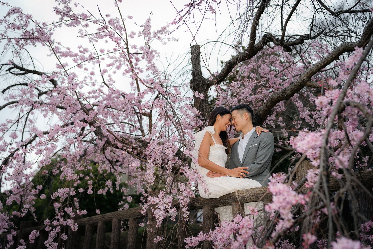 portrait,wedding photographer, surprise proposal , family portrait