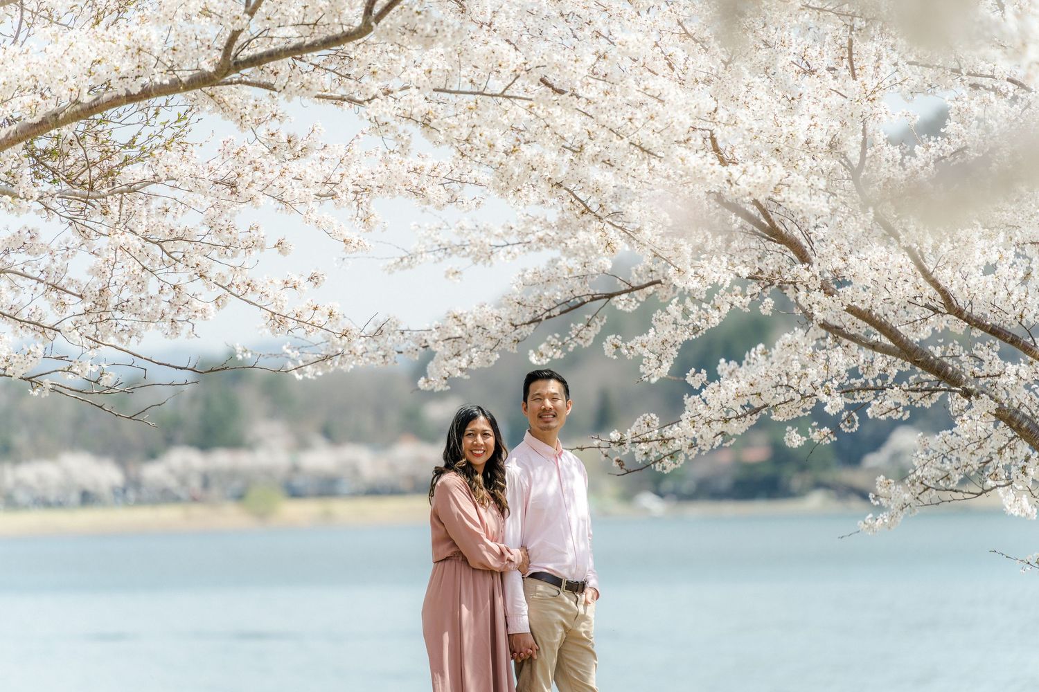 portrait,wedding photographer, surprise proposal , family portrait