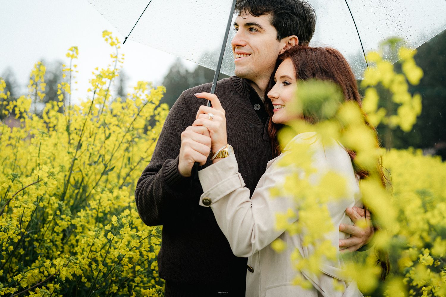 portrait,wedding photographer, surprise proposal , family portrait