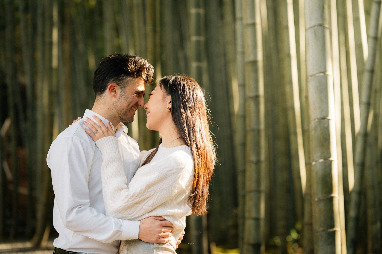 portrait,wedding photographer, surprise proposal , family portrait