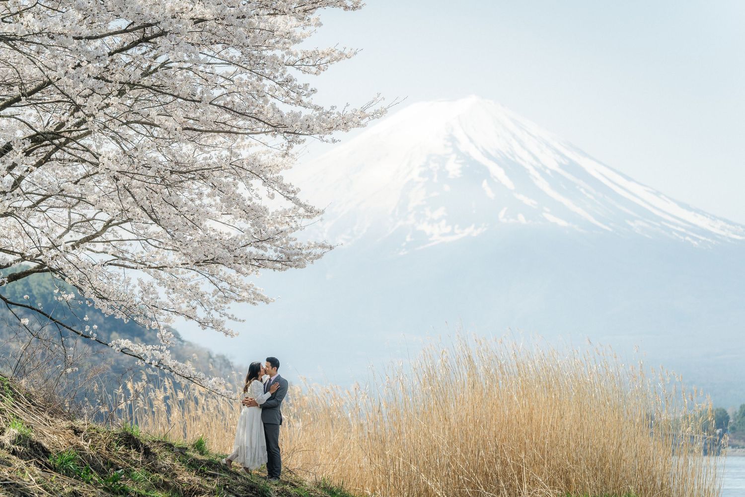 portrait,wedding photographer, surprise proposal , family portrait