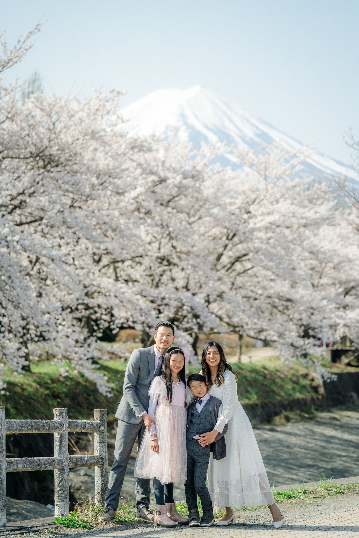 portrait,wedding photographer, surprise proposal , family portrait