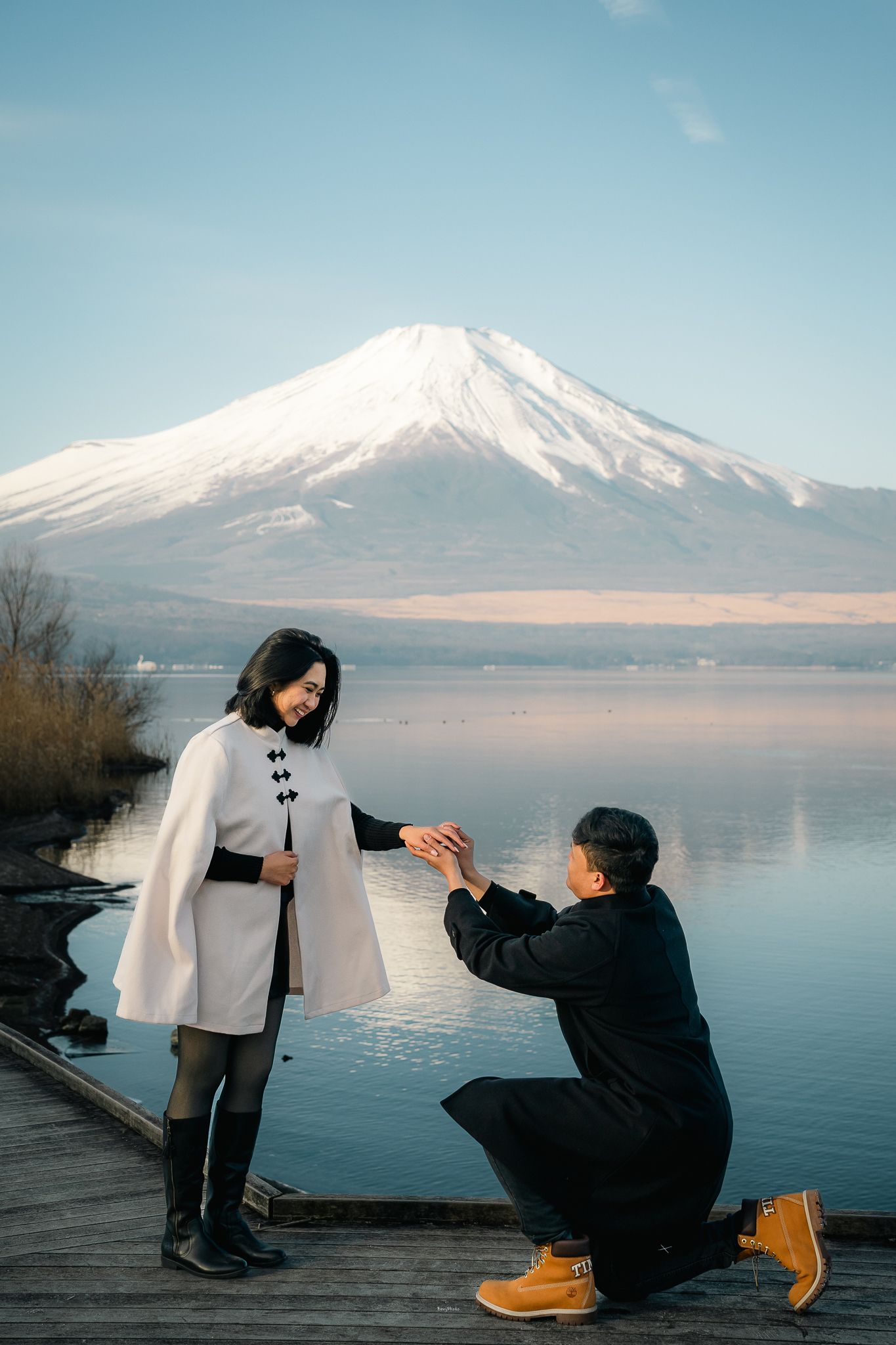 portrait,wedding photographer, surprise proposal , family portrait
