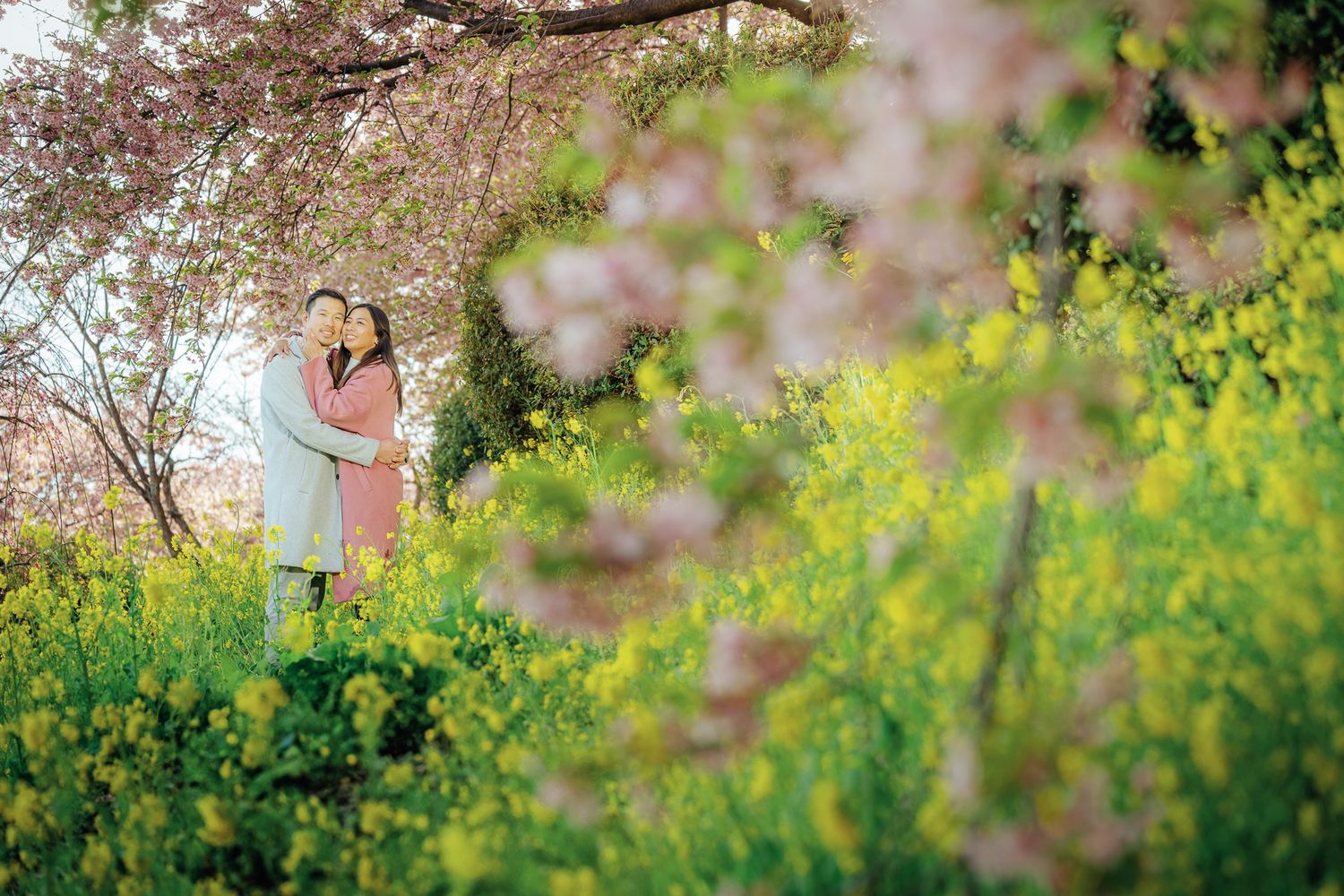 portrait,wedding photographer, surprise proposal , family portrait