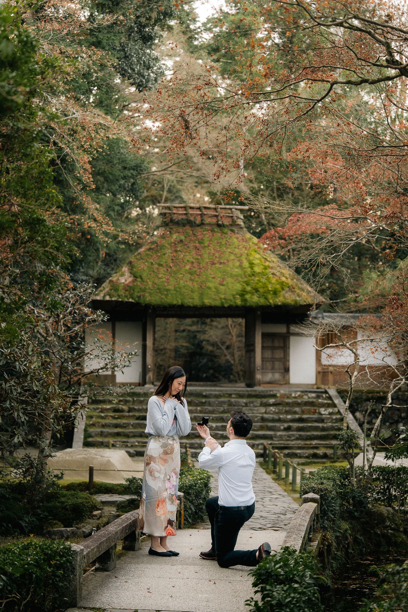 portrait,wedding photographer, surprise proposal , family portrait