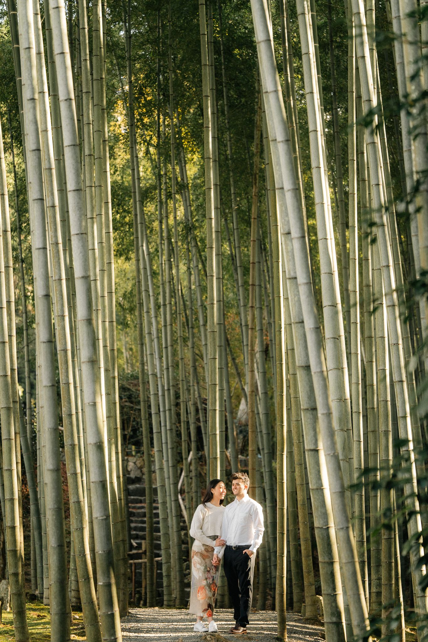 portrait,wedding photographer, surprise proposal , family portrait