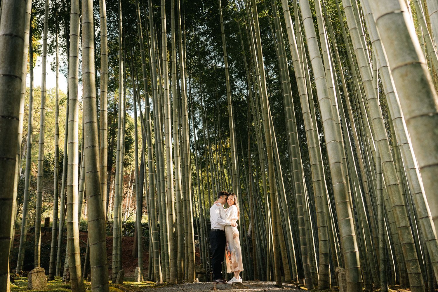 portrait,wedding photographer, surprise proposal , family portrait