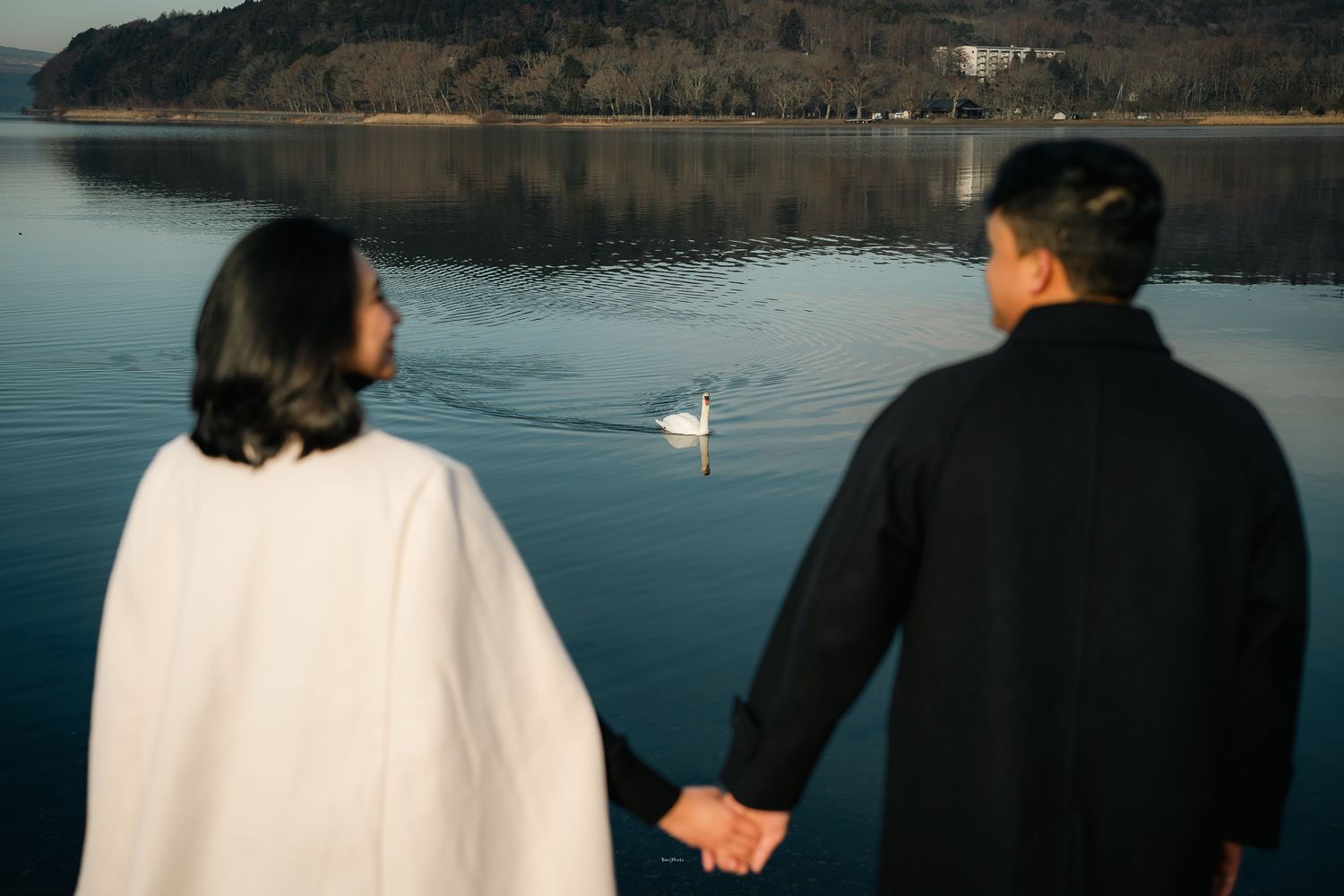 portrait,wedding photographer, surprise proposal , family portrait