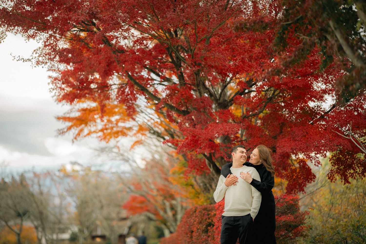 portrait,wedding photographer, surprise proposal , family portrait