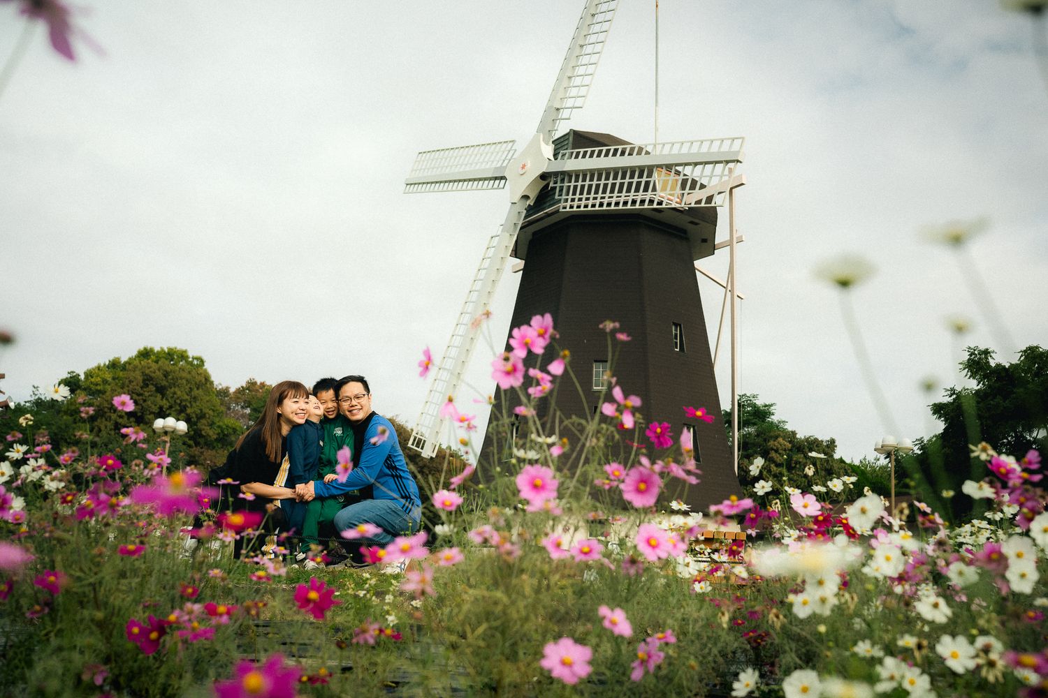 portrait,wedding photographer, surprise proposal , family portrait