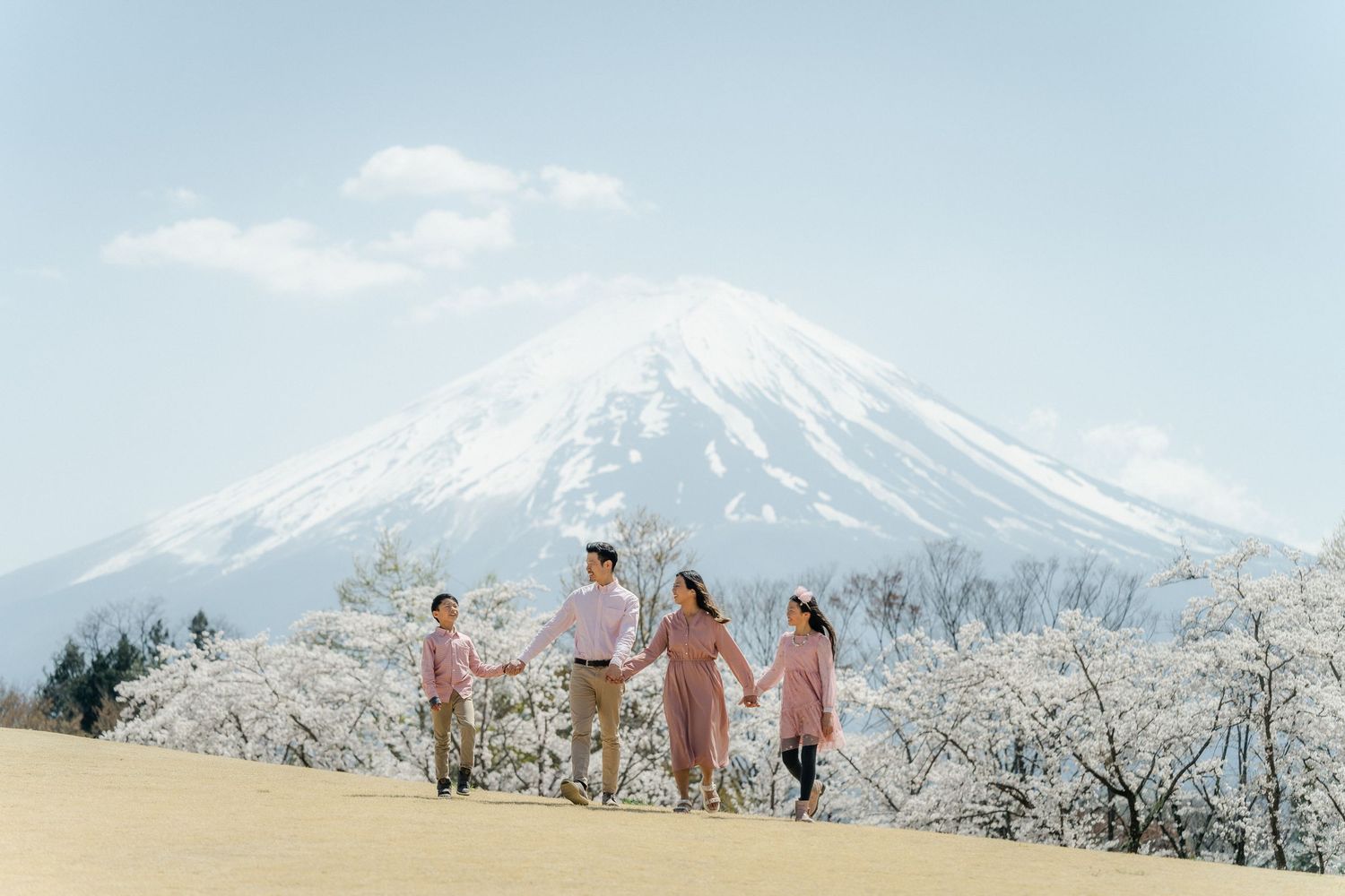 portrait,wedding photographer, surprise proposal , family portrait