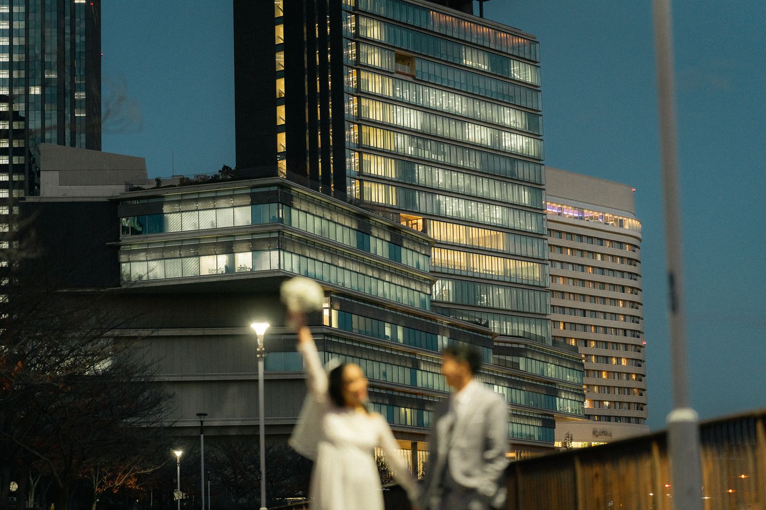 portrait,wedding photographer, surprise proposal , family portrait