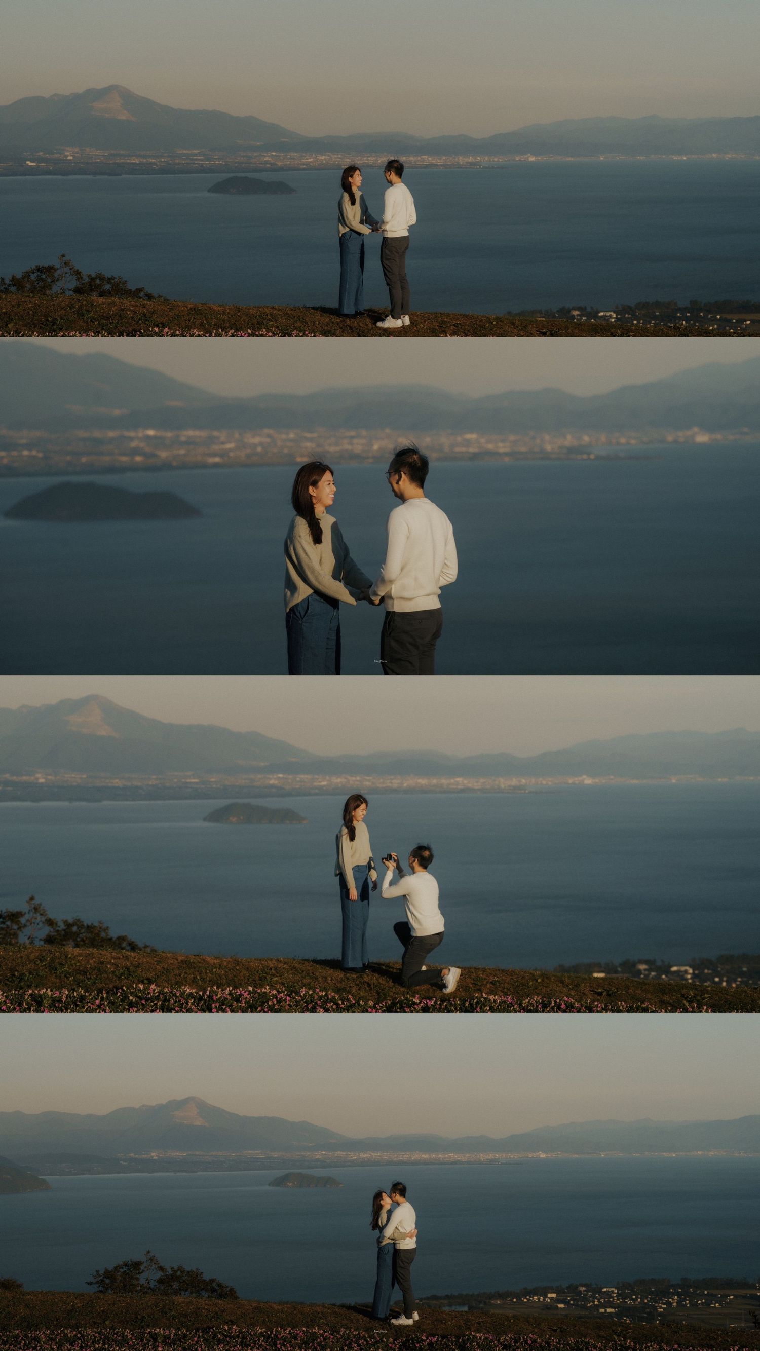 portrait,wedding photographer, surprise proposal , family portrait