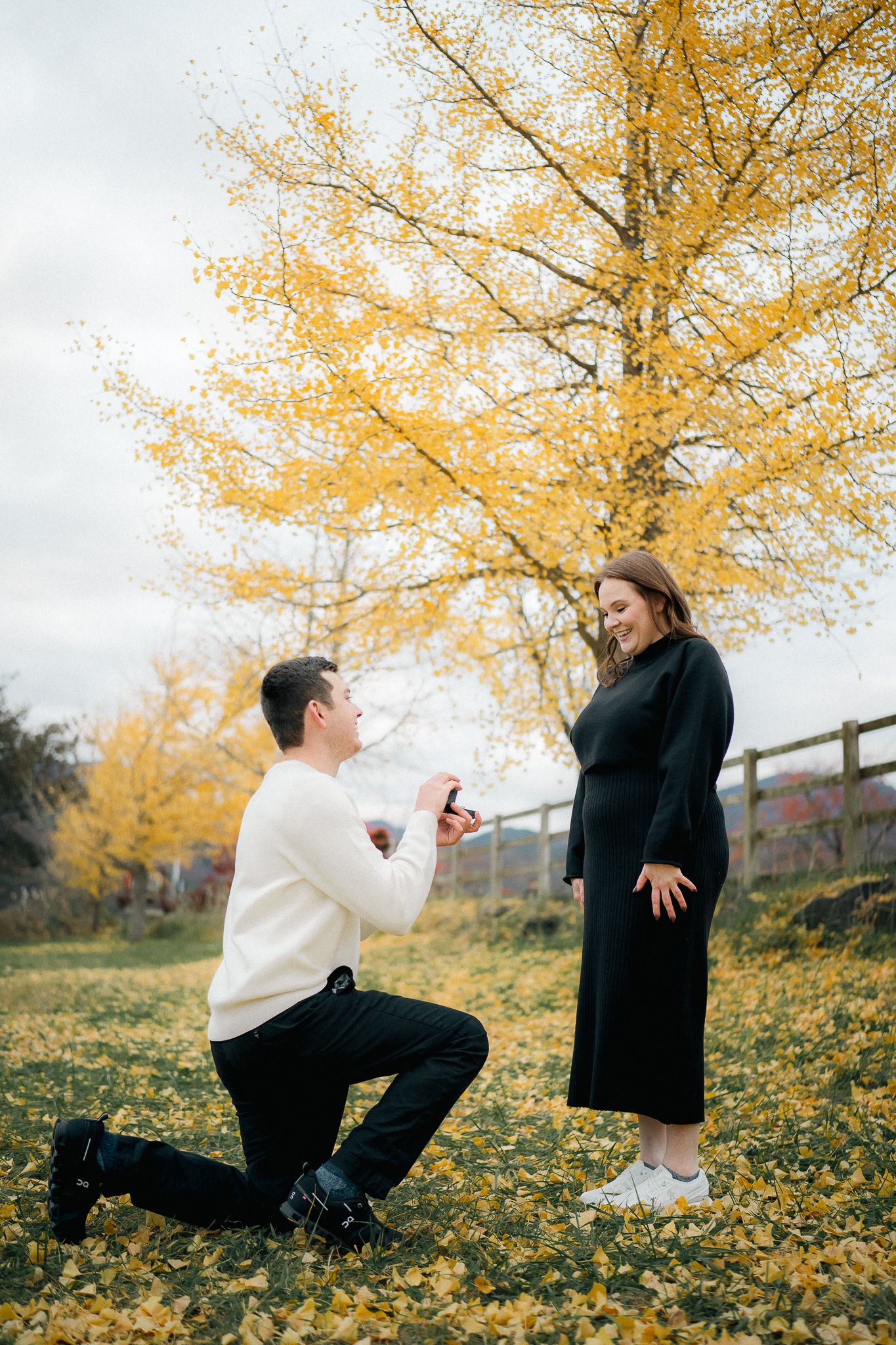 portrait,wedding photographer, surprise proposal , family portrait
