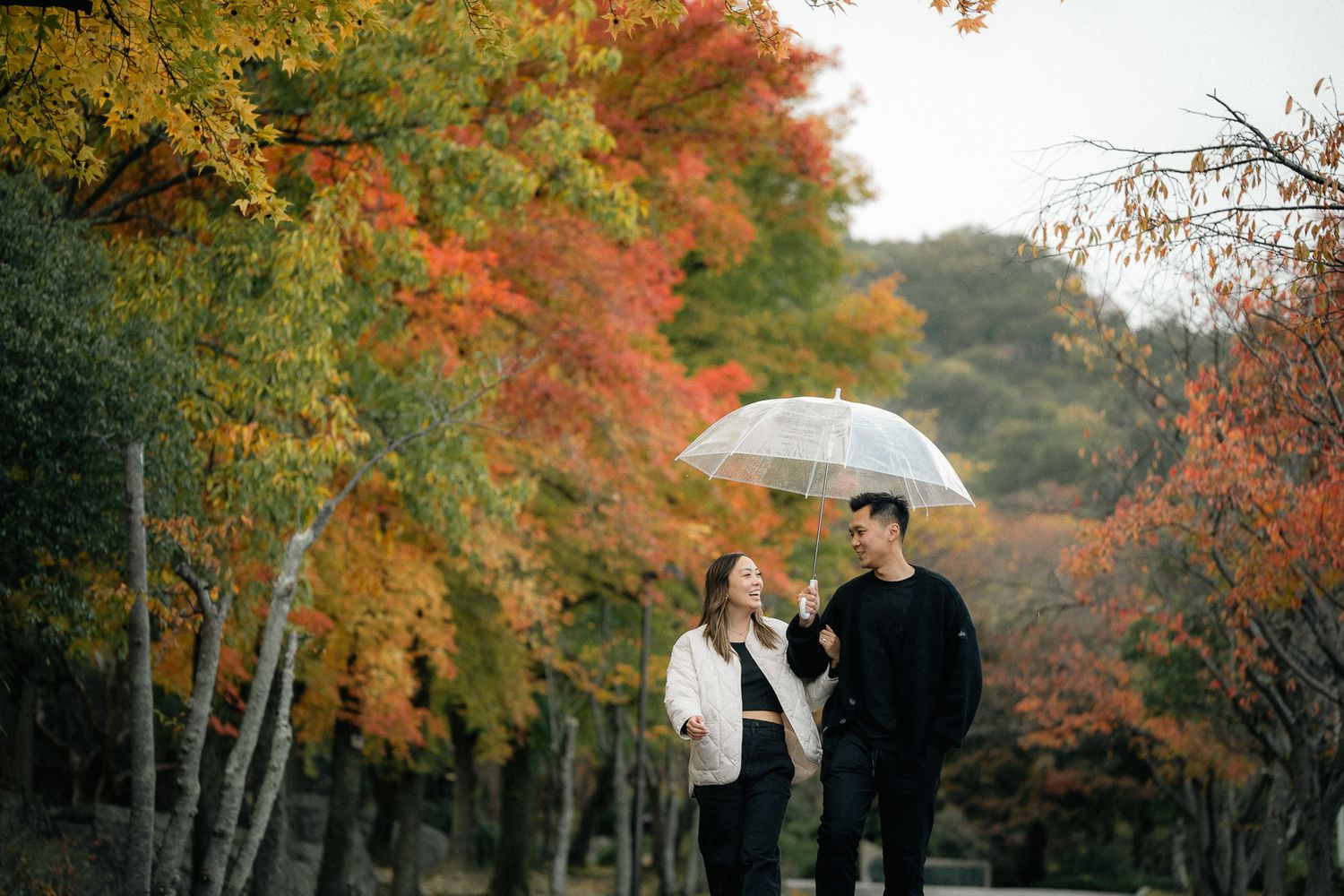 portrait,wedding photographer, surprise proposal , family portrait