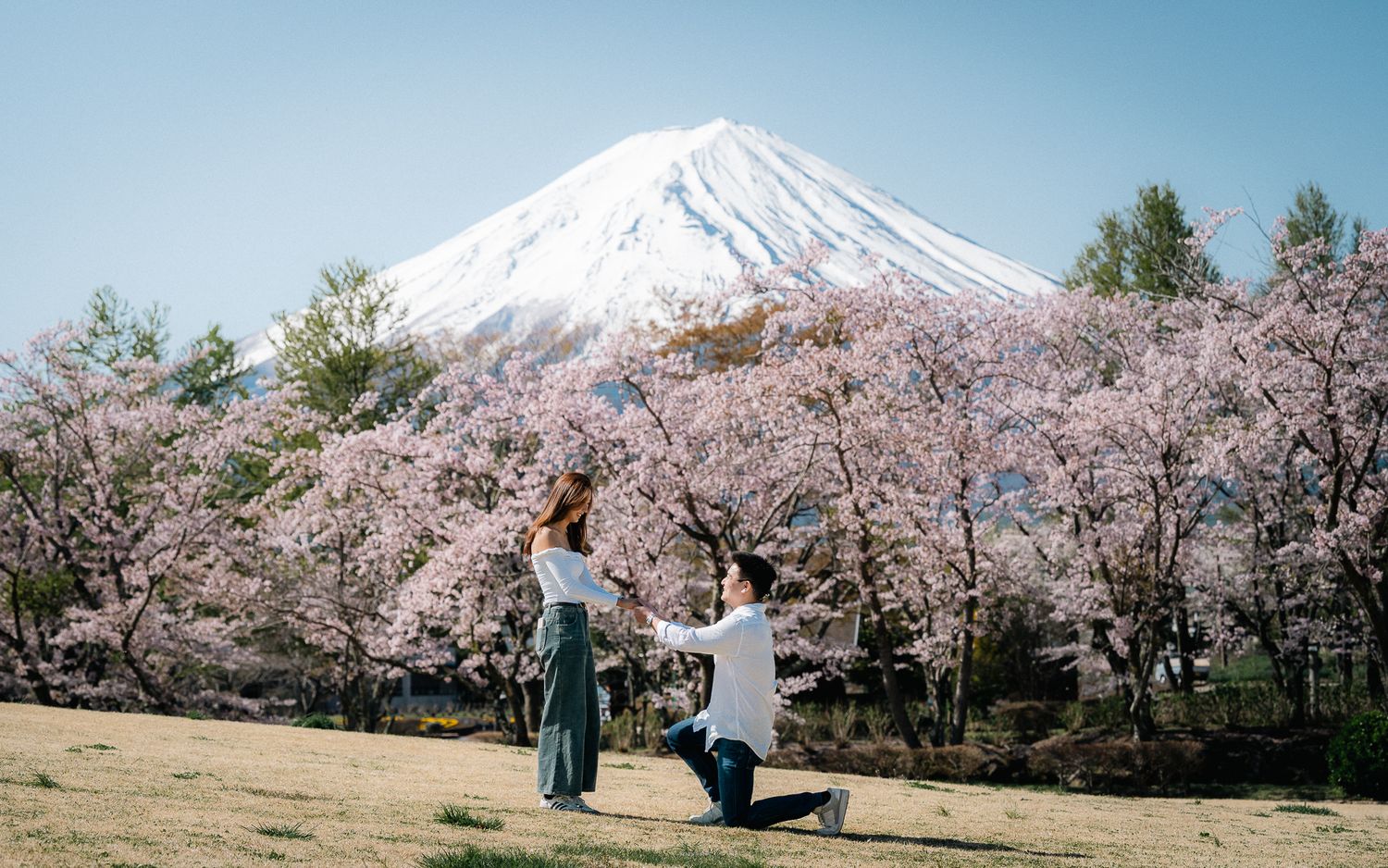 portrait,wedding photographer, surprise proposal , family portrait