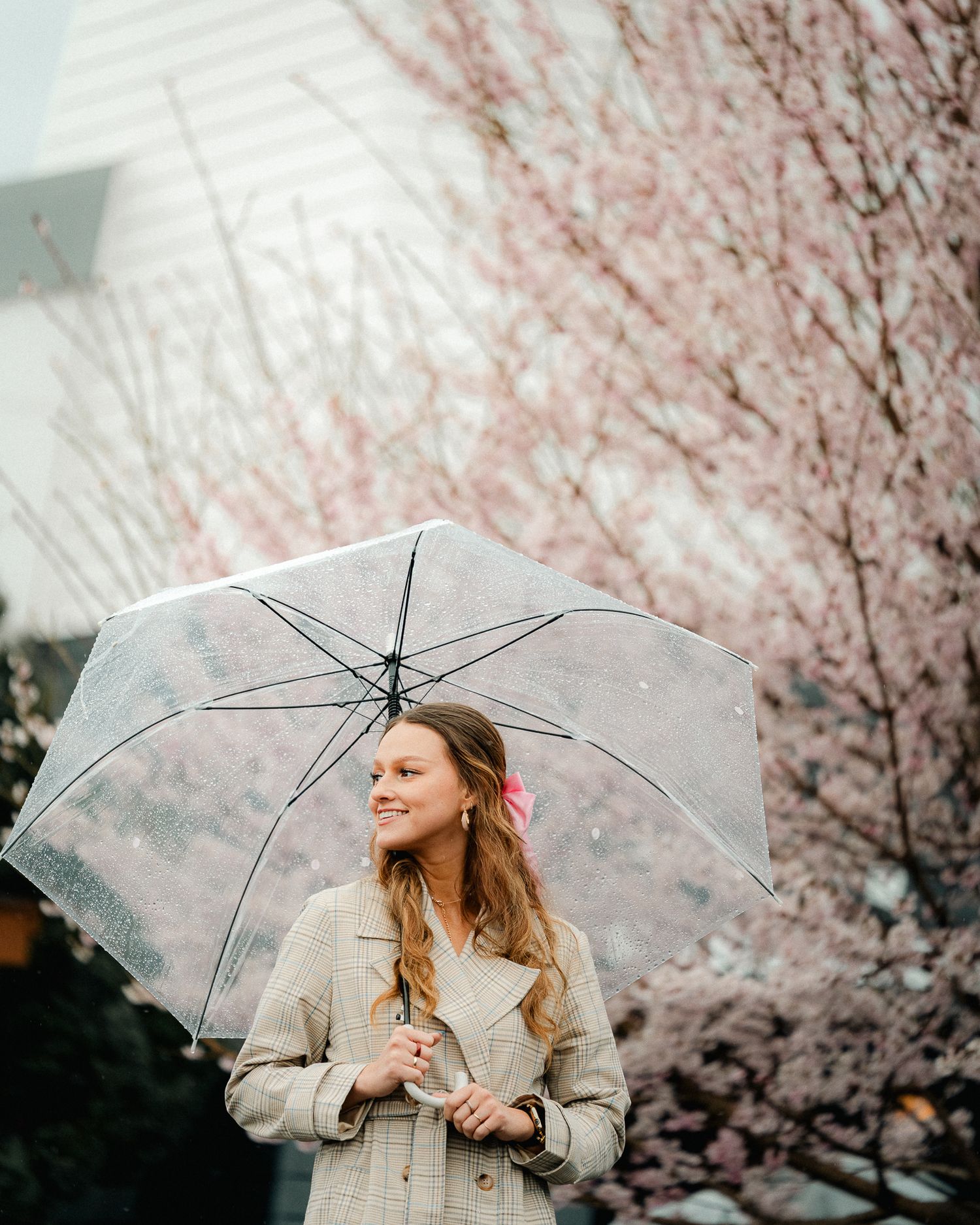 portrait,wedding photographer, surprise proposal , family portrait