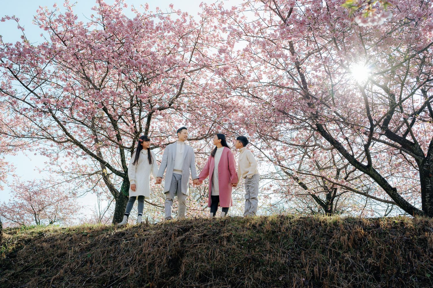 portrait,wedding photographer, surprise proposal , family portrait