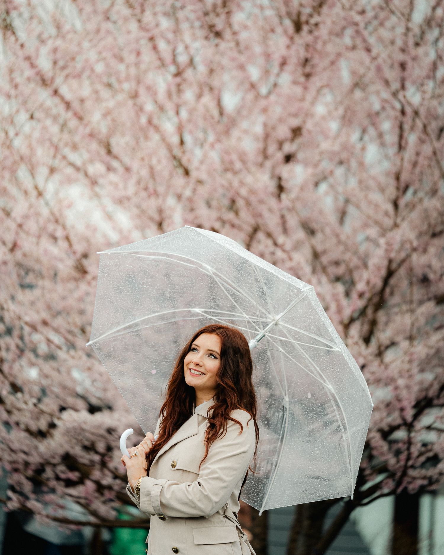 portrait,wedding photographer, surprise proposal , family portrait