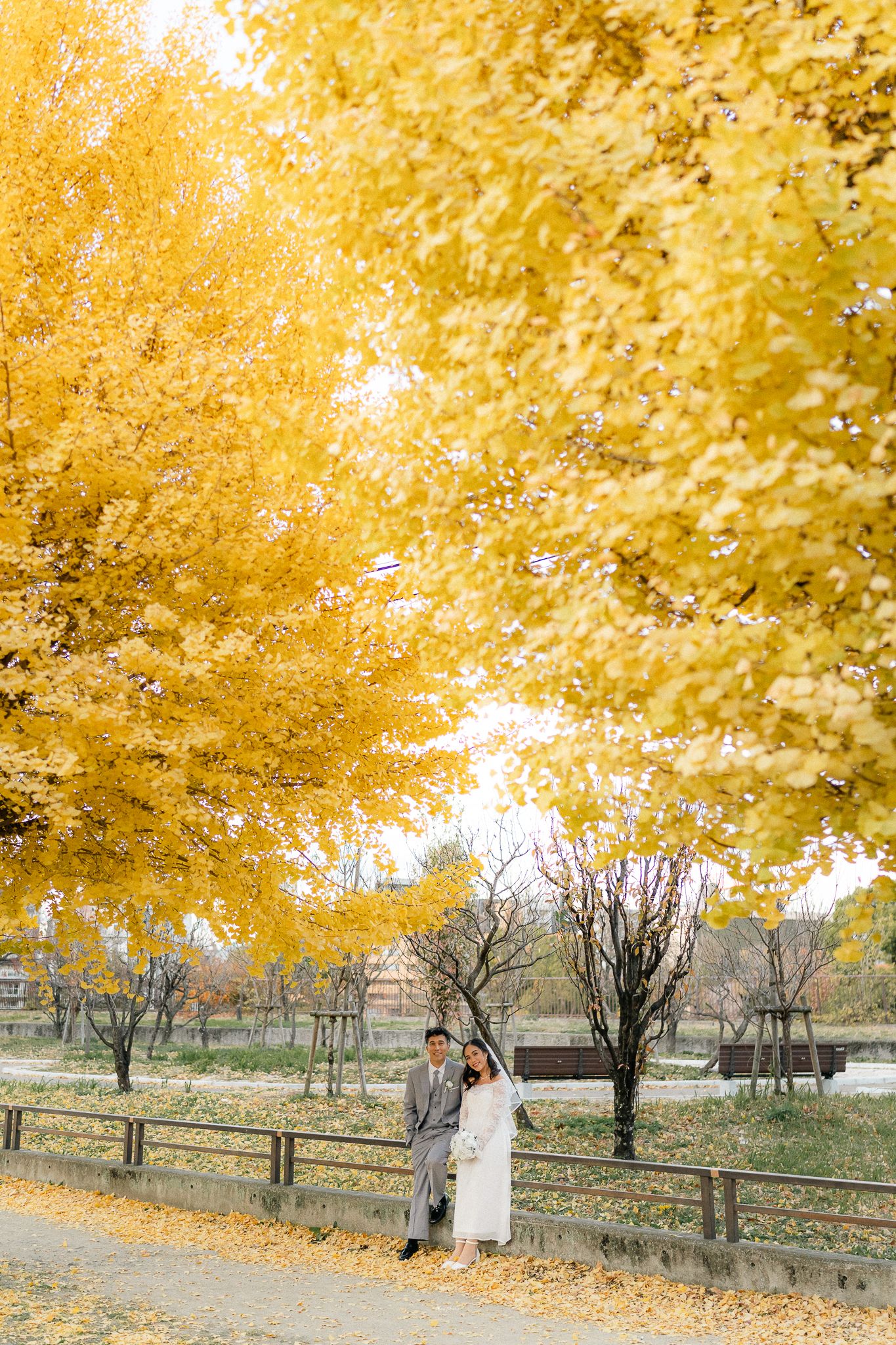 portrait,wedding photographer, surprise proposal , family portrait