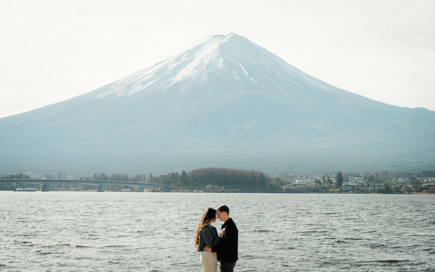 portrait,wedding photographer, surprise proposal , family portrait