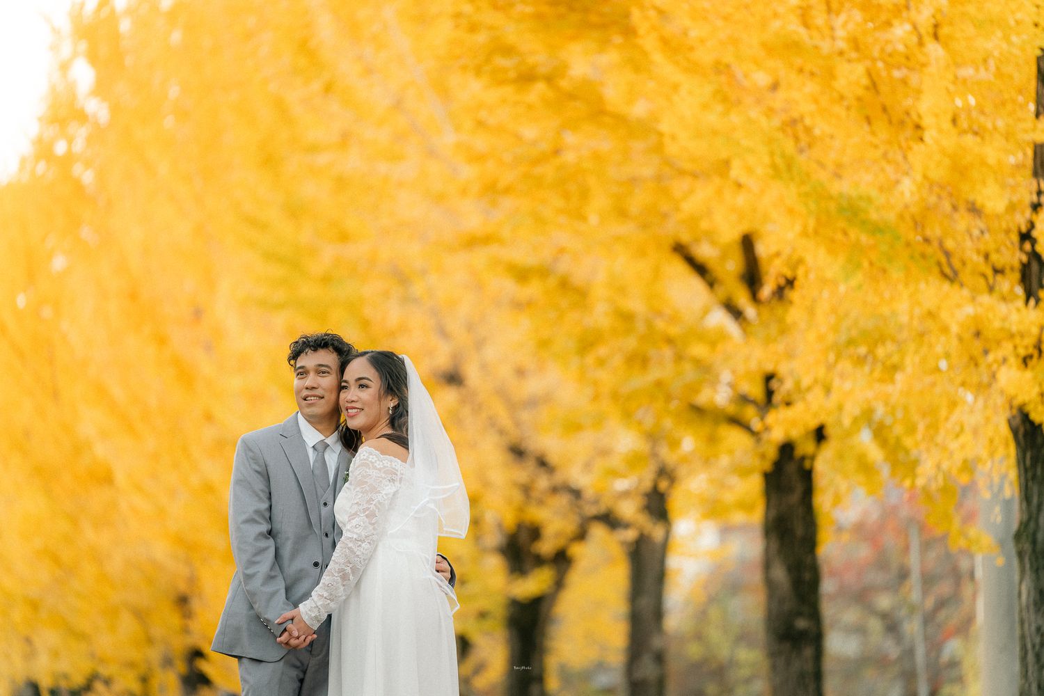 portrait,wedding photographer, surprise proposal , family portrait