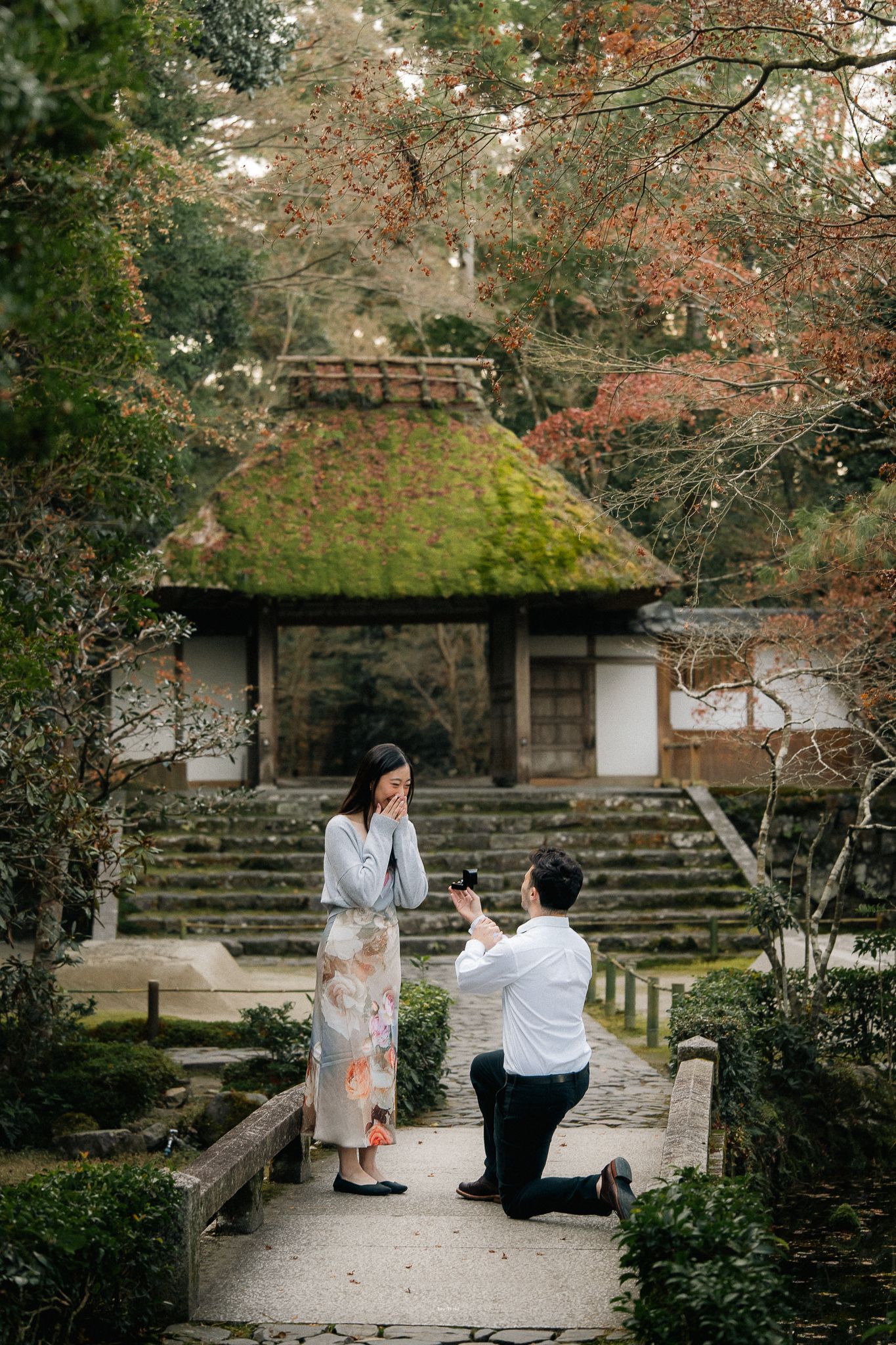 portrait,wedding photographer, surprise proposal , family portrait