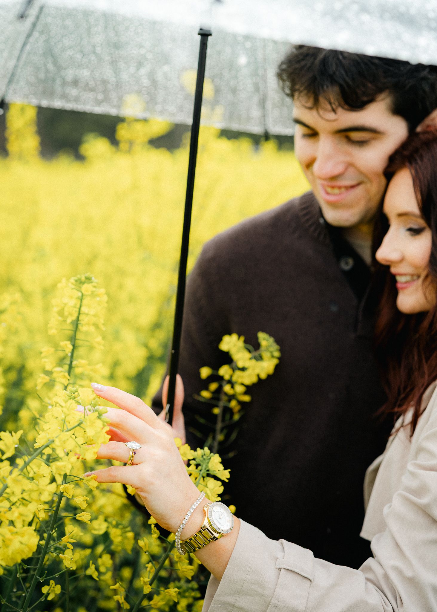 portrait,wedding photographer, surprise proposal , family portrait