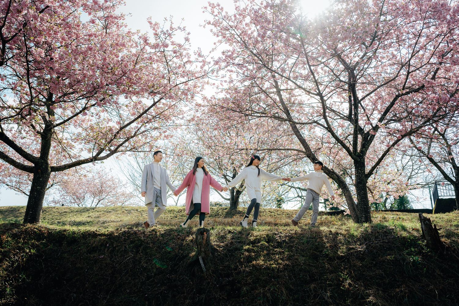 portrait,wedding photographer, surprise proposal , family portrait
