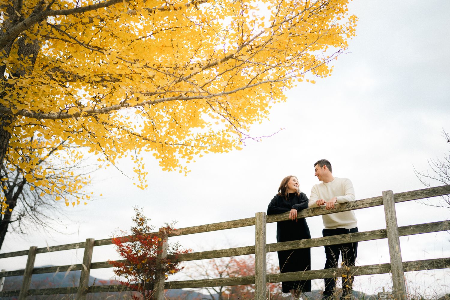 portrait,wedding photographer, surprise proposal , family portrait