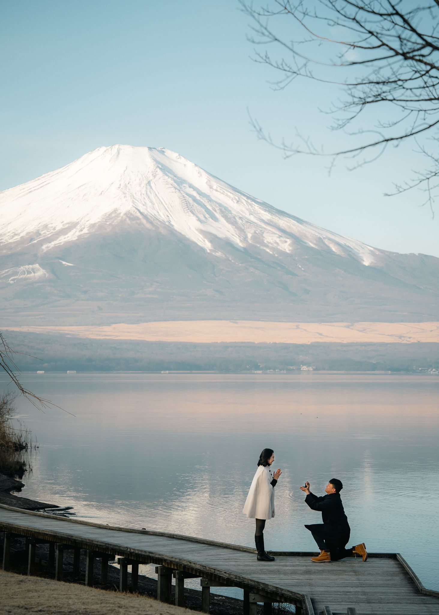 portrait,wedding photographer, surprise proposal , family portrait