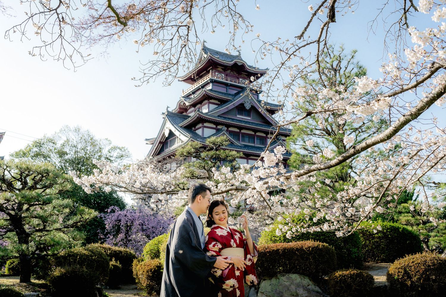 portrait,wedding photographer, surprise proposal , family portrait