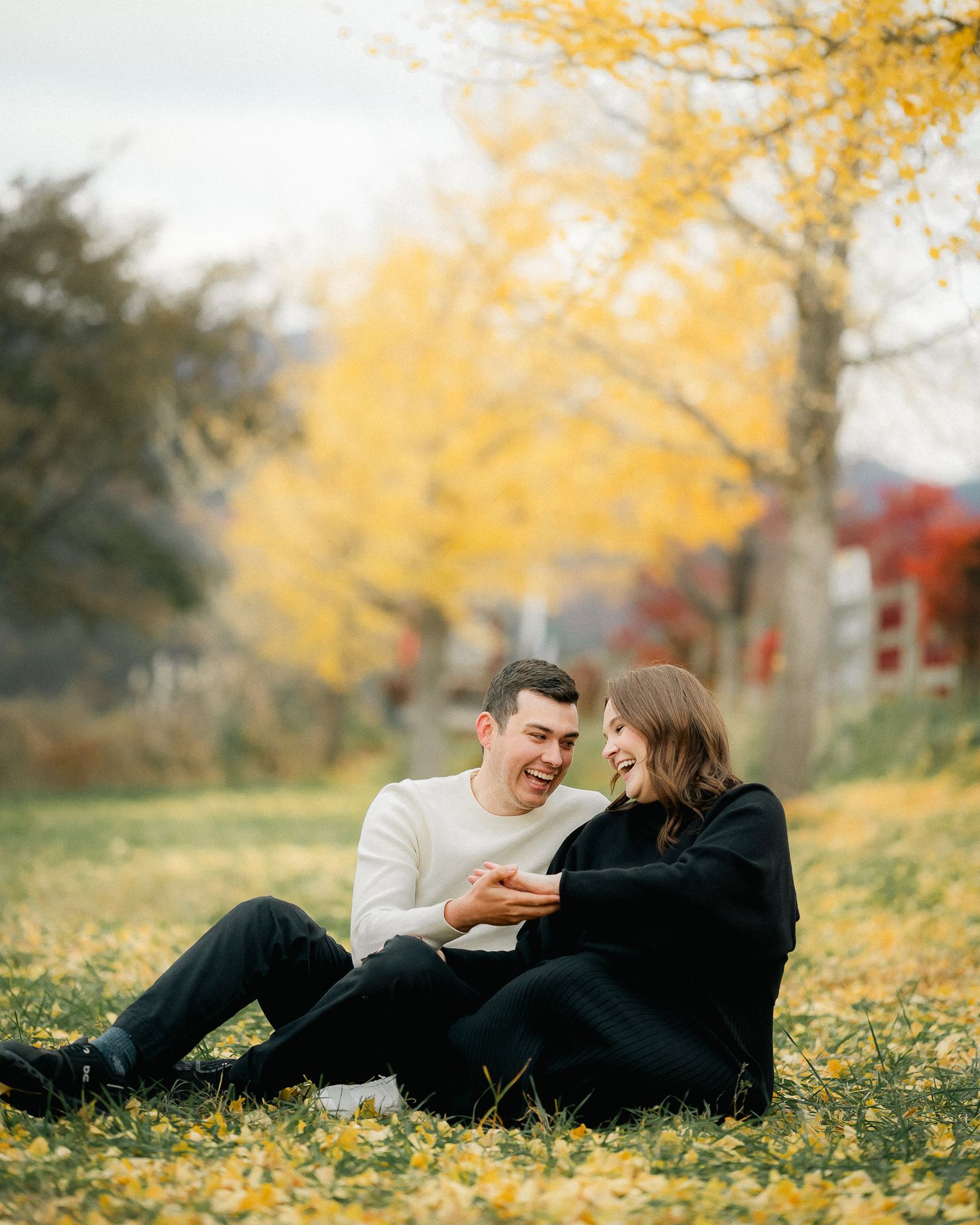 portrait,wedding photographer, surprise proposal , family portrait