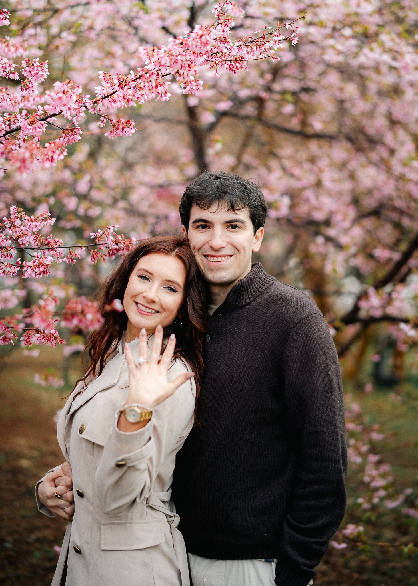 portrait,wedding photographer, surprise proposal , family portrait
