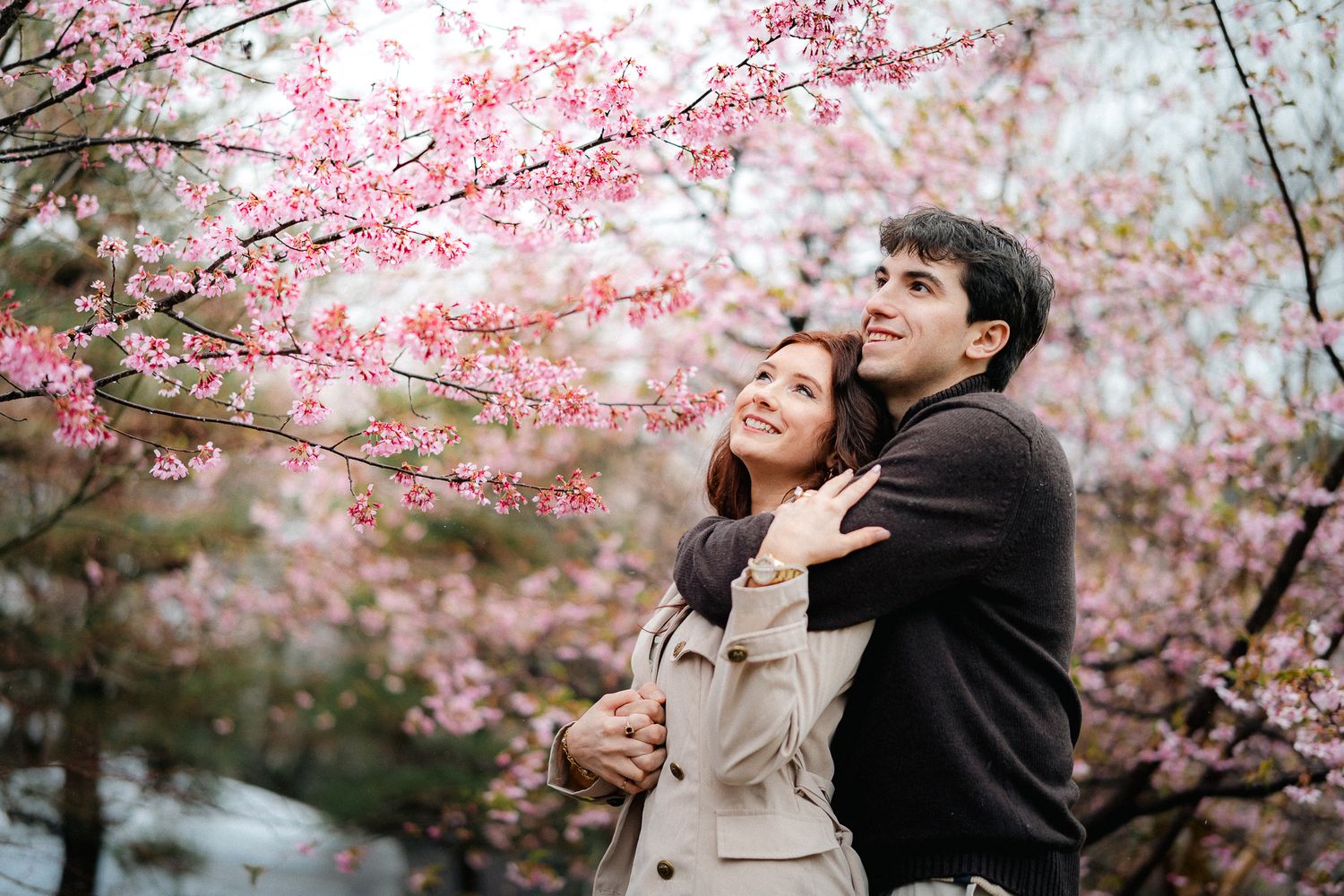 portrait,wedding photographer, surprise proposal , family portrait