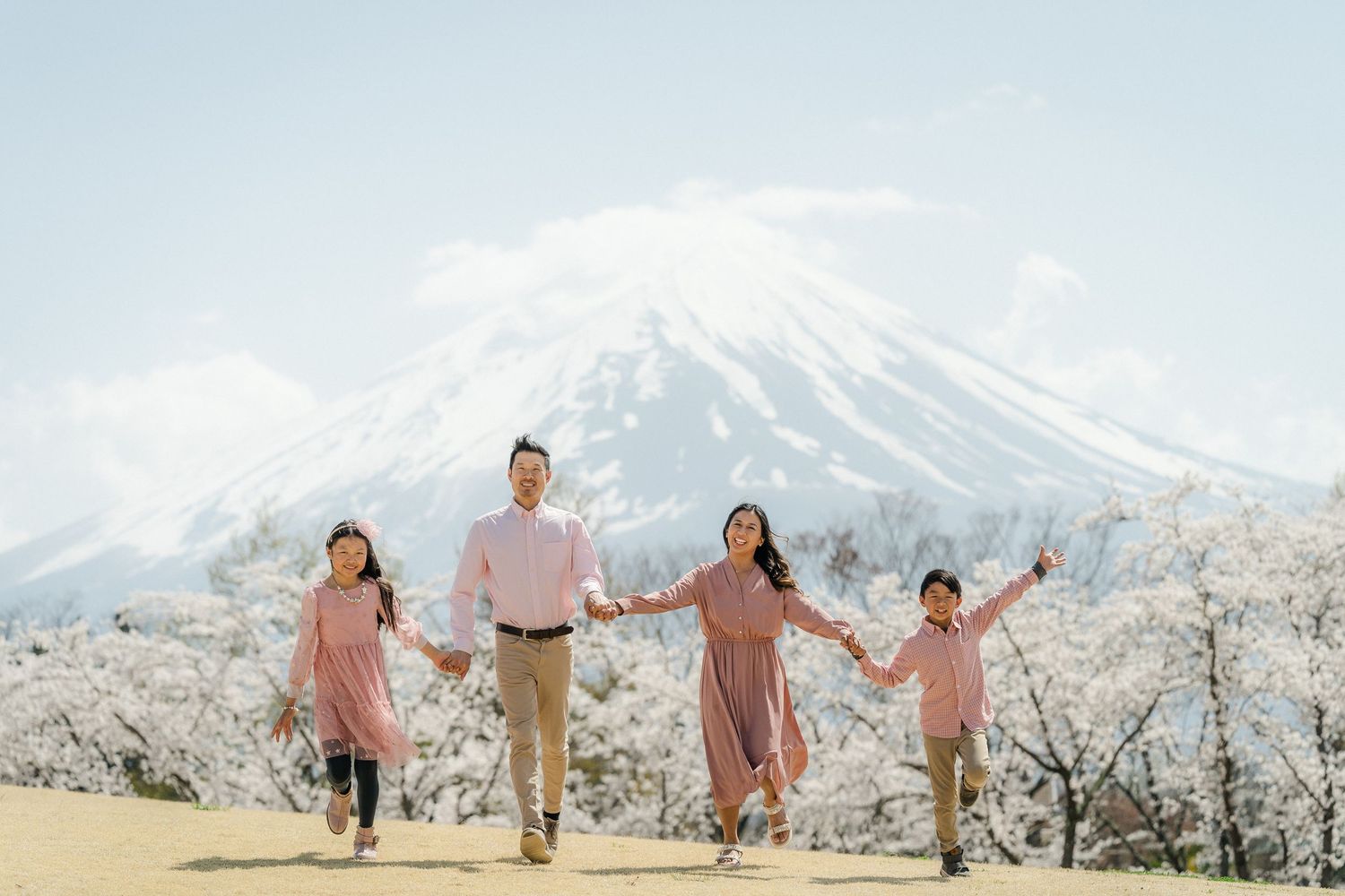 portrait,wedding photographer, surprise proposal , family portrait